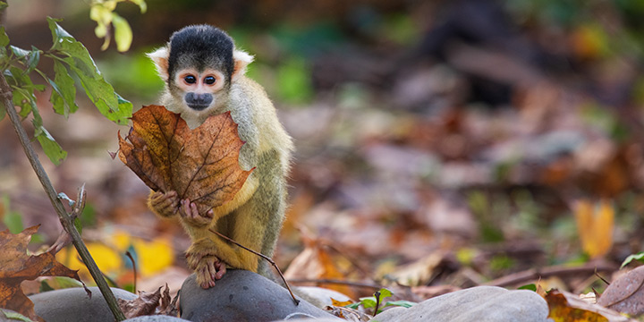 Zoo Basel